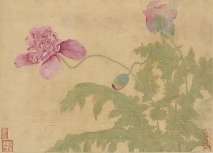 恽寿平没骨画又称捞水