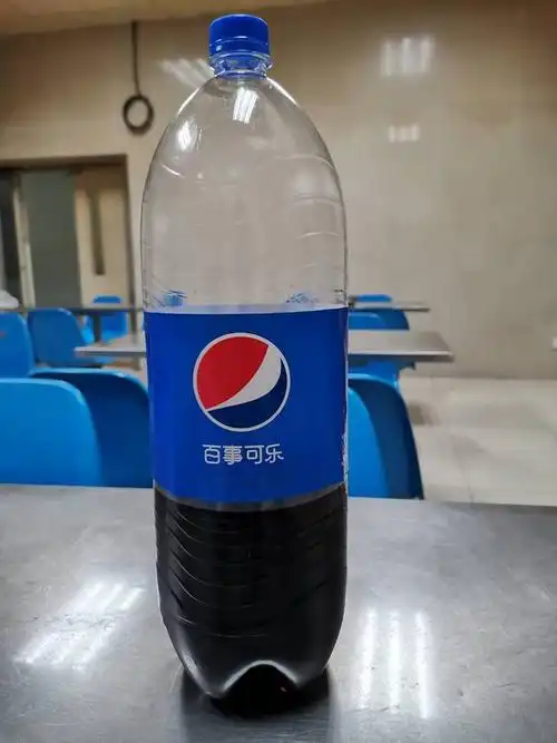 永远的神啊大瓶装25l百事可乐