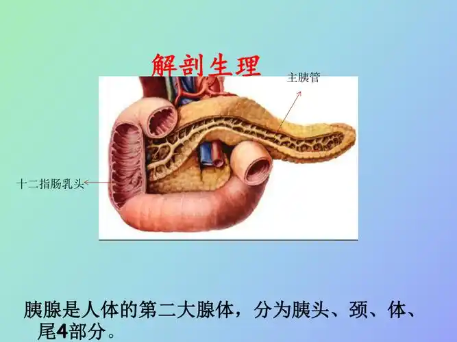 胰腺癌和壶腹周围