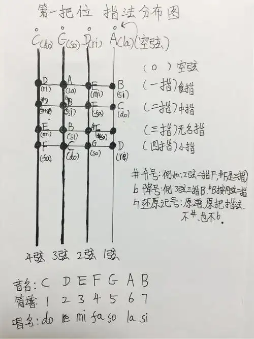 大提琴指法第一把位:一,二,三,四弦指法位置以及指法相对应的音在