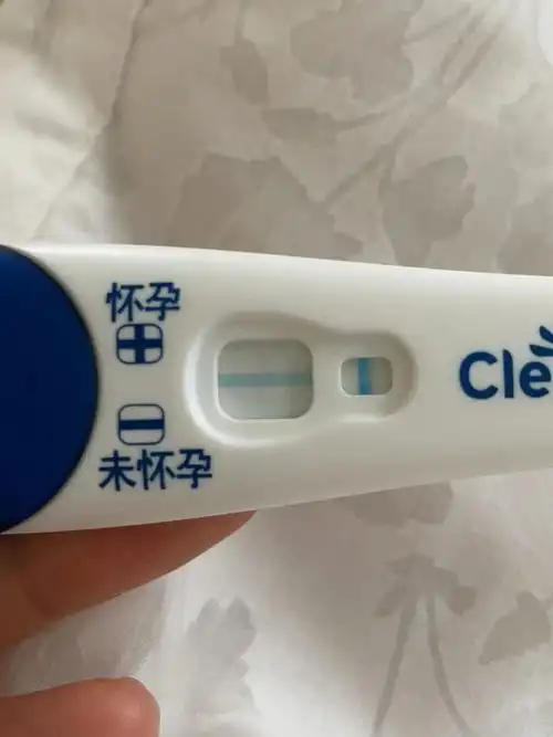 一分钟的可丽蓝