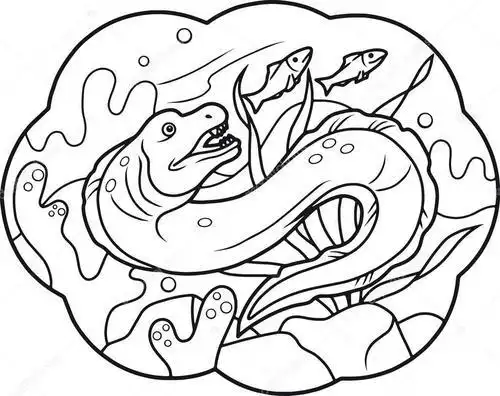 简笔画海鳗