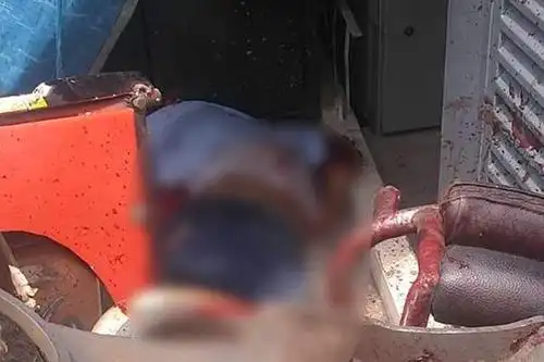 乐园过山车出轨 坠地2死