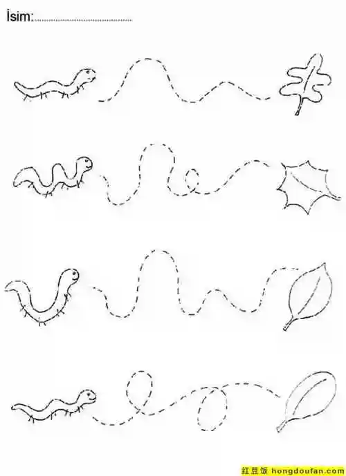 10张跳跃的青蛙飘落的叶子沿着虚线描绘线条控笔练习题打印