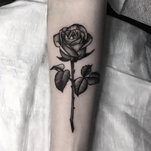 小臂黑灰写实玫瑰纹身图案
