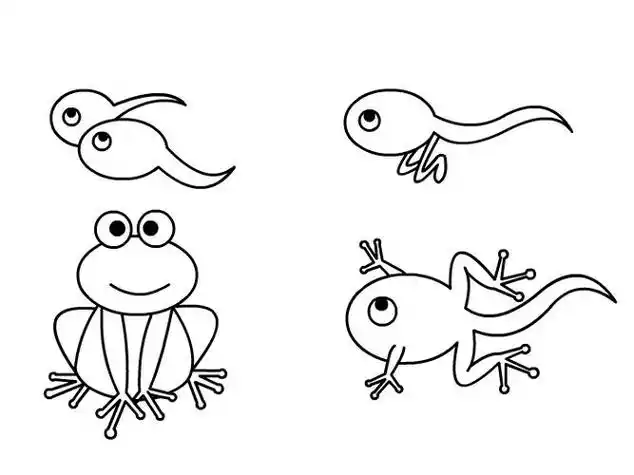 青蛙和小蝌蚪怎么画但是是简笔画