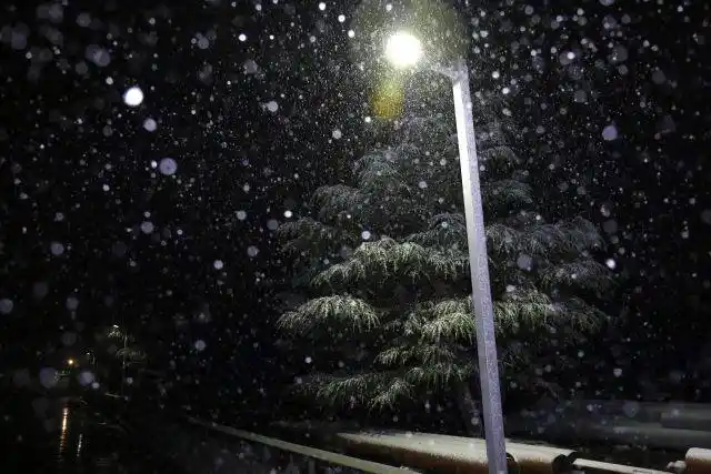 你在南方的寒夜里四季如春 我在北方的艳阳里大雪纷飞 夜幕之下 华灯
