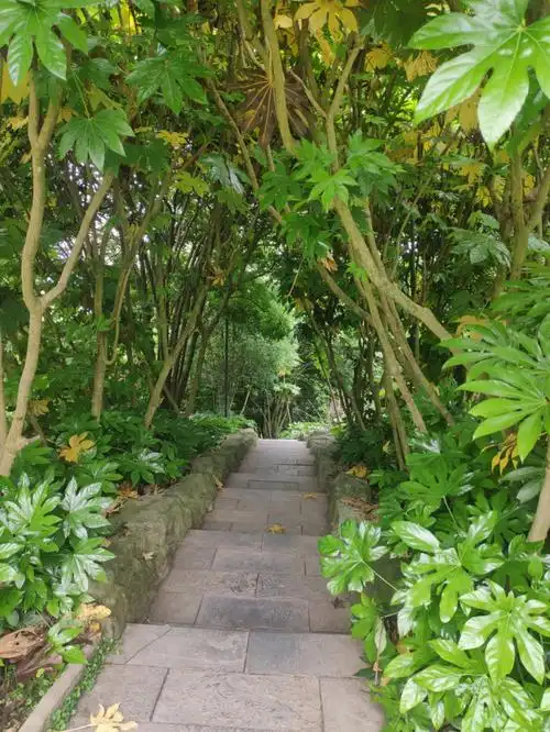 贵阳药用植物园