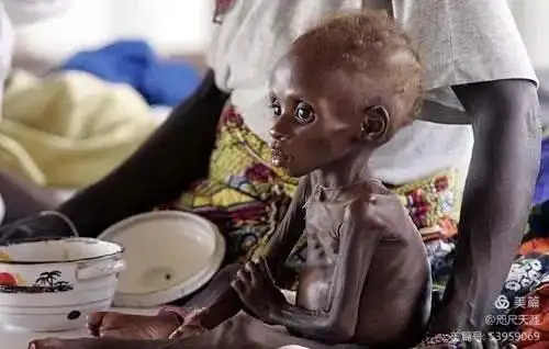 雨田幼儿园-托一班世界粮食日