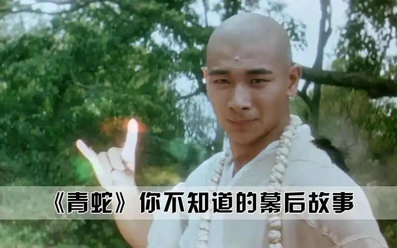 青蛇:赵文卓出演法海,大威天龙身上纹,掌声送给念经人