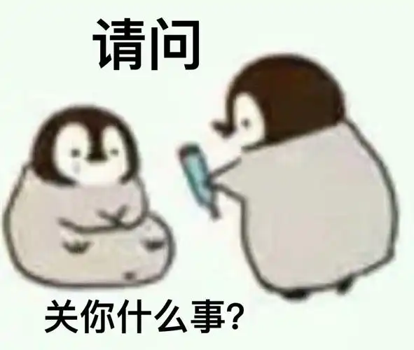 请问关你什么事小企鹅问你话呢67企鹅斗图表情