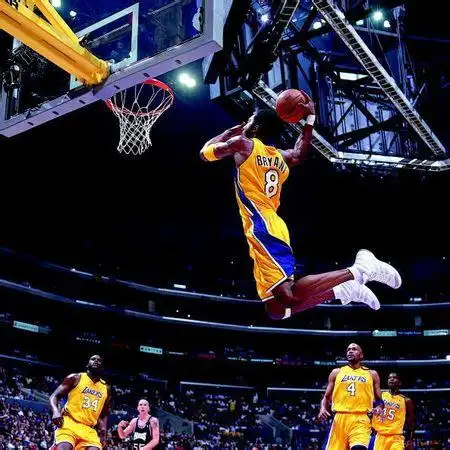 p>扣篮(slam dunk),又称为灌篮,入樽,是 a target="_blank" href="