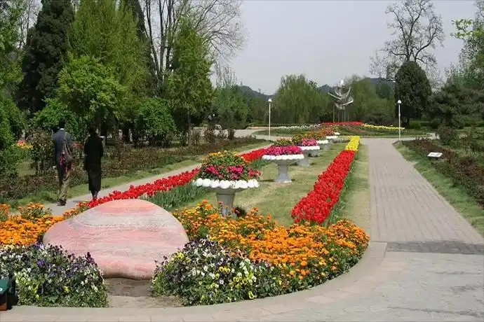 带状花坛的植物选择(花坛植物选择要求)-花卉知识网