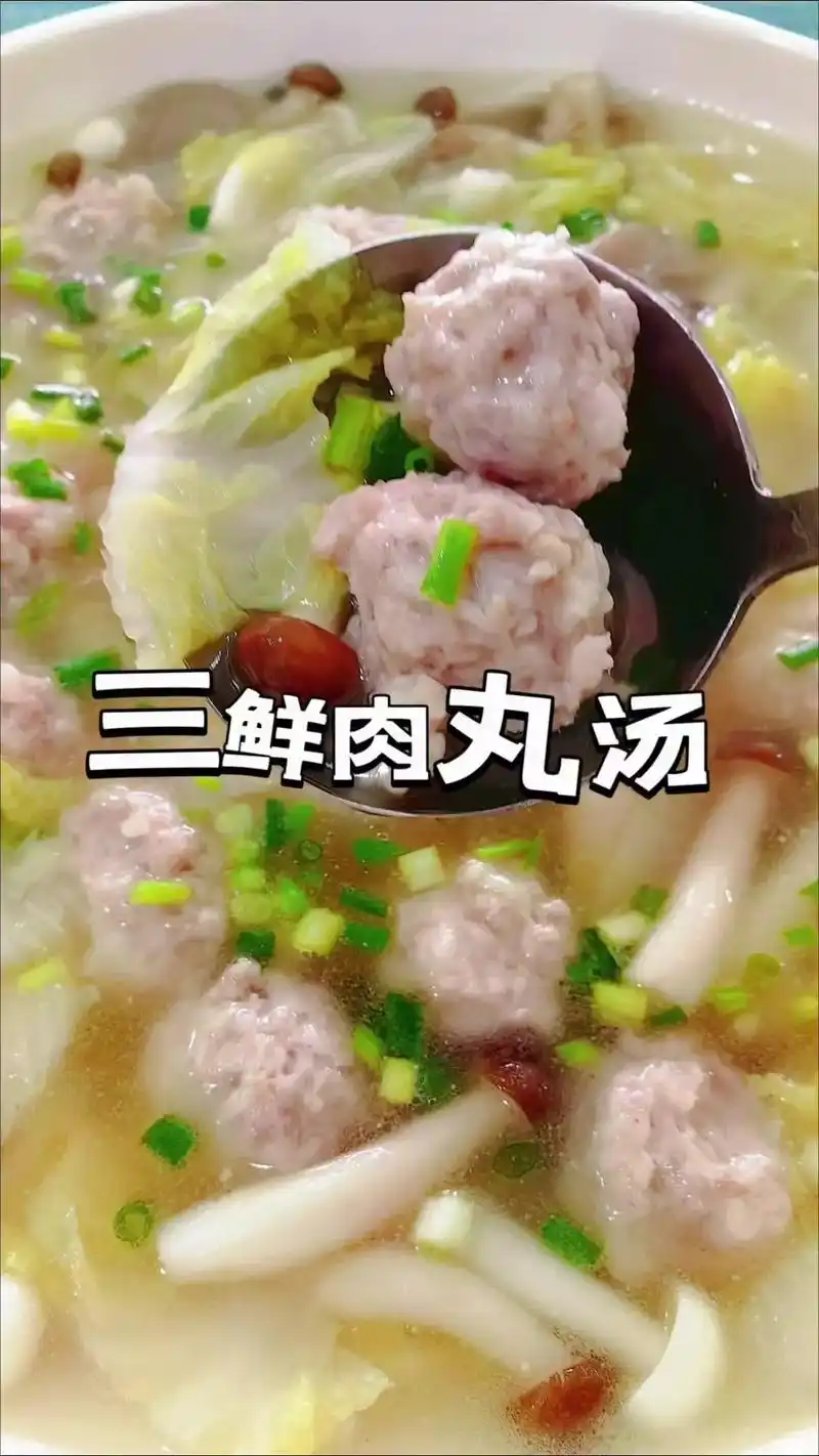 92肉末鸡蛋圆子汤,一口下去鲜的眉毛都要掉了  93做法: 11566