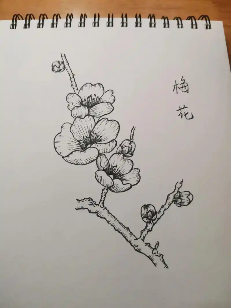 颓废了太久,今天拿起画笔手抖得厉害,看来不能再继续给自己的懒惰找