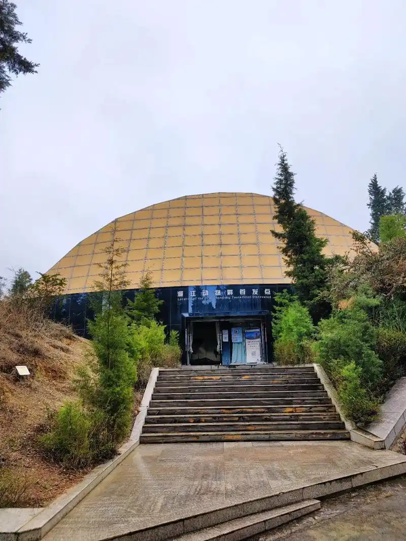澄江帽天山化石博物馆  - 抖音
