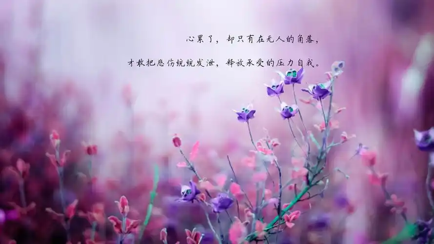 一个人心累了伤感带字图片,非主流-回车桌面