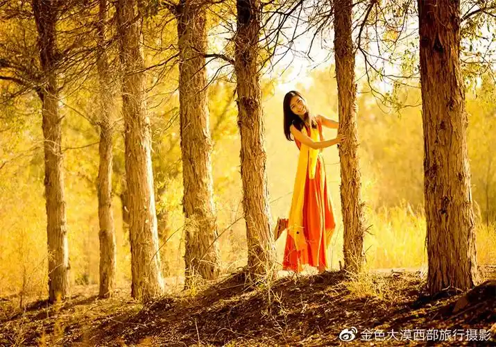 2021星空营地,沙漠露营,夜观胡杨,玩转金秋额济纳!