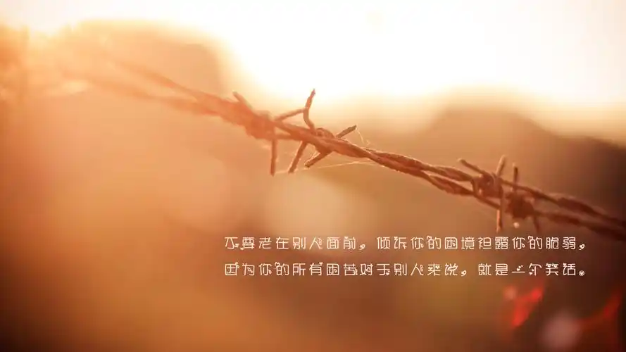 唯美意境,带字图片,说说,风景,治愈,唯美,清新,带字,文艺,电脑壁纸