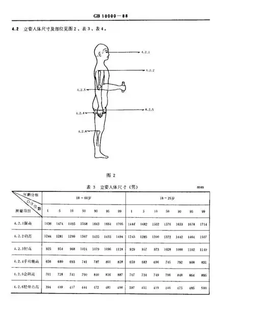 23gb100001988中国成年人人体尺寸
