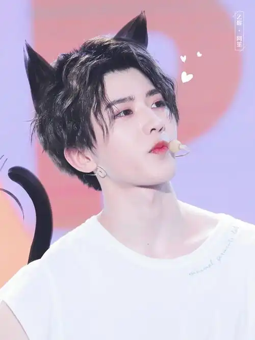 蔡徐坤/蔡小葵 - 堆糖,美图壁纸兴趣社区