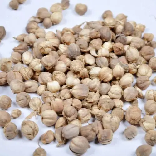 批发优质香料海南白豆蔻白叩白肉蔻 温中散寒行气止呕 亳州中药材