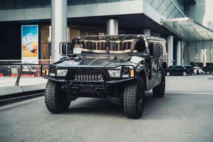 能上路的民用也的确很稀少#东风猛士  #支持国产  #民用装甲车