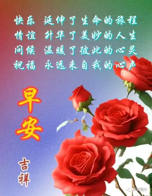 暖心的问候祝福语大全|快乐|清晨|幸福|早上好_网易订阅