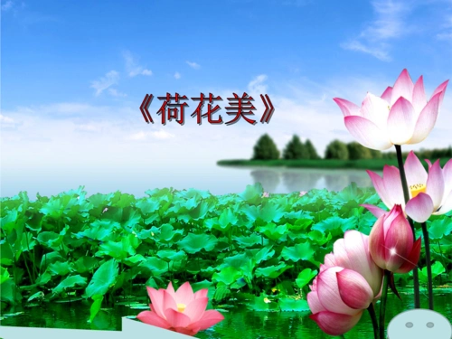 江西版美术三年级下册《荷花美》完整版通用课件(24).pptx 30页