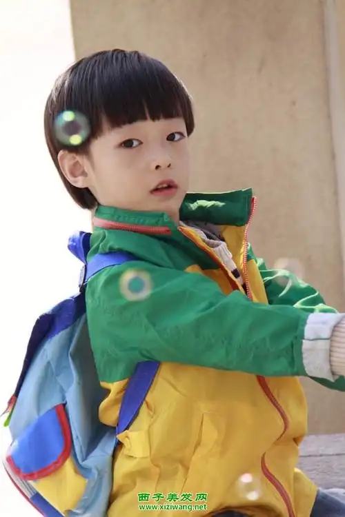 四岁瓜子脸男孩发型设计 超萌发型人见人爱(2)_儿童发型_西子美发网