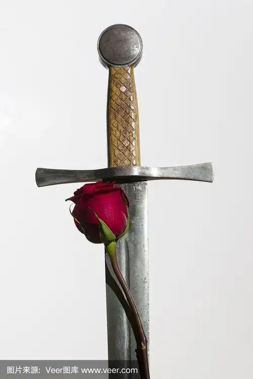 玫瑰和剑