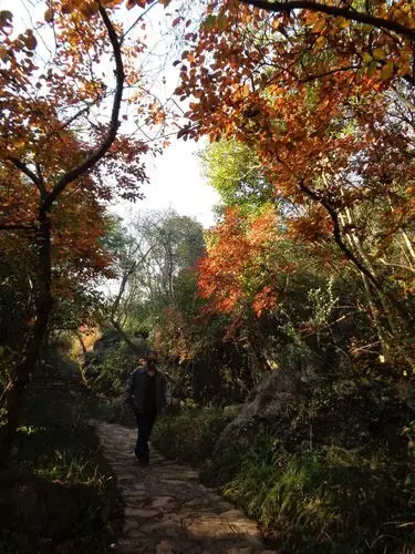 黄石月亮山(一)