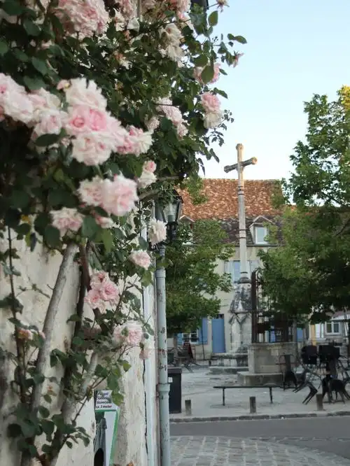 法国小镇普罗万provins玫瑰小镇