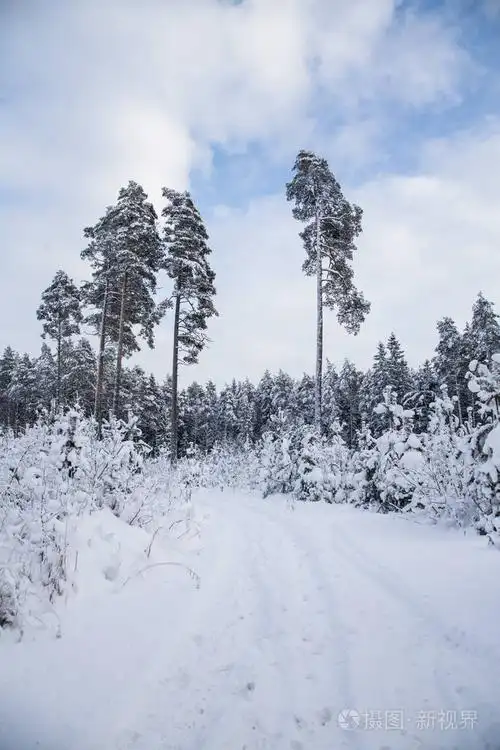 在灰色,阴沉沉的一天照片-正版商用图片0z69ue-摄图新视界