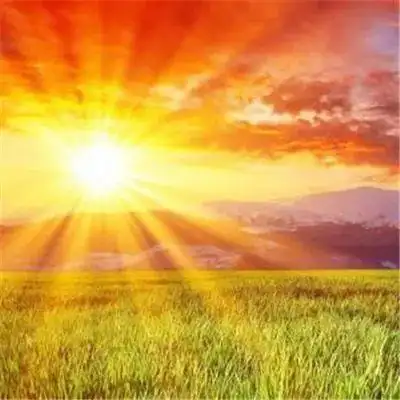 能带来好运日出的微信头像