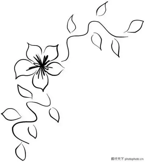 黑板报花边简笔画花