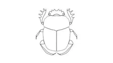 粪金龟简笔画怎么画