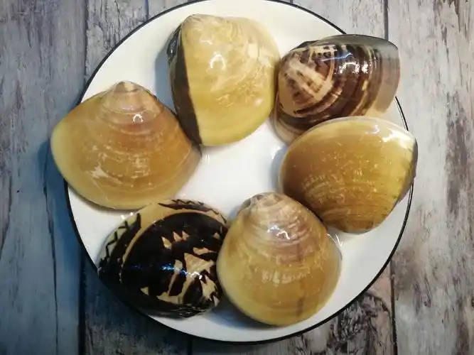 青蛾不需要复杂的做法就能成就天下第一鲜的美名