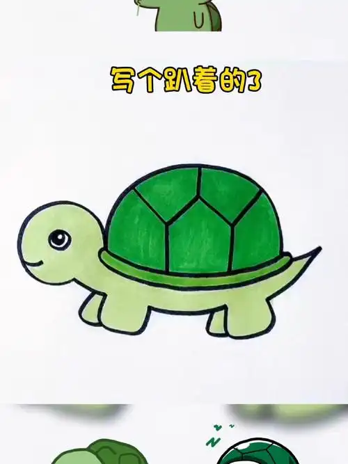 简单好学的小乌龟简笔画