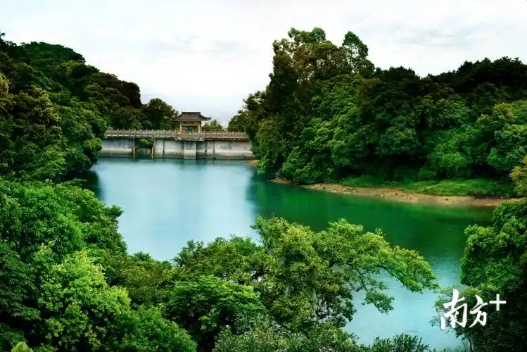 玩转南海第六站来西樵山感受大自然的呼吸聆听千年前的故事