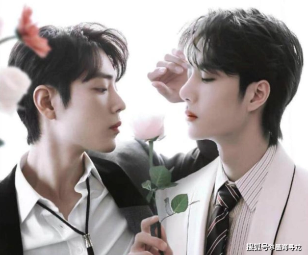 星光大赏王一博肖战同台,博君一肖粉沸腾,网友却说:活在幻想里