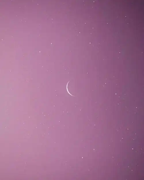 月亮 粉色 意境壁纸