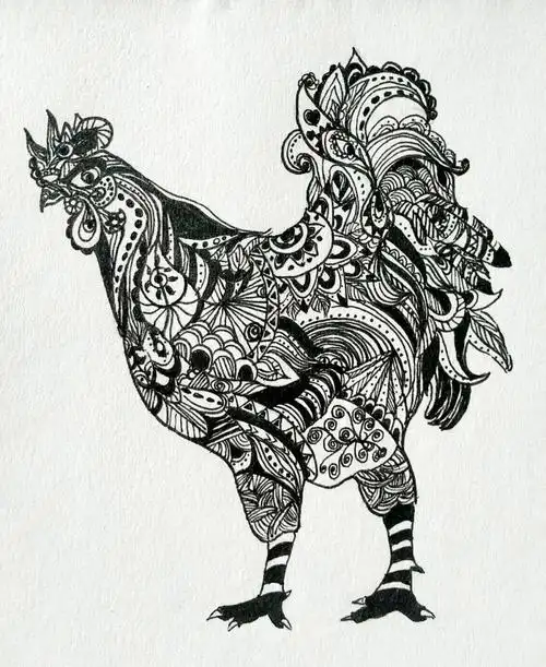 《传统纹样设计——动物纹样》侯高雨(19级美术学)