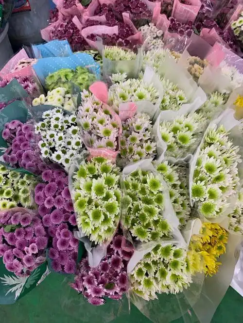 云南鲜花基地直发小雏菊