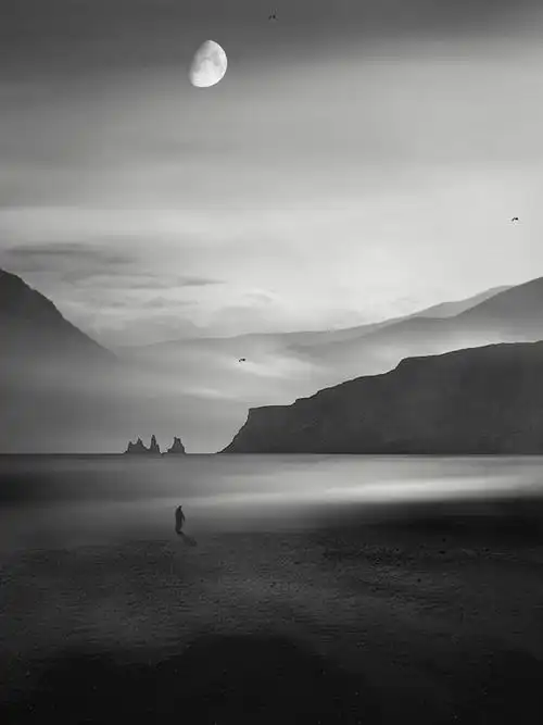 有一种孤独不是做一些事没有人陪伴而是做一些事没有人理解意境