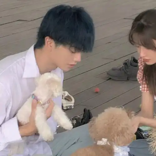 头像情侣我不太温柔但对于你尽我所能