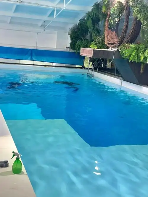 想问问大家上海有没有2米以上深水区的泳池