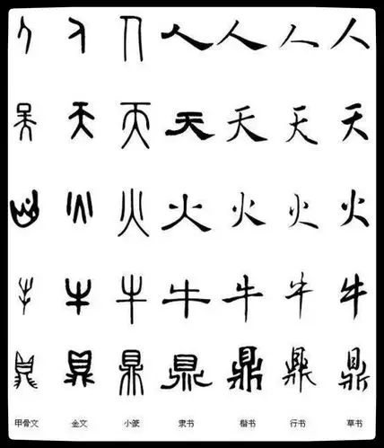 今天,我上了一堂有趣的书法课——汉字的演变!
