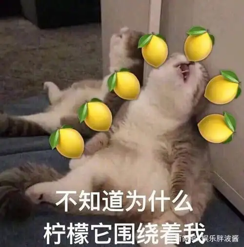 陈博豪,梁朋杰上《暴走大事件》,一首《酸入人心》竟酸了王思聪