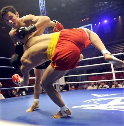 图文-首届cka中国武术散打超级联赛 徐吉福击倒对手